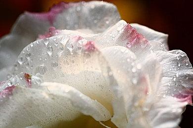 《糖豆人》x《索尼克》联动地图泄露演示视频