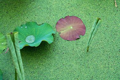 《霍格沃茨之遗》PS5＆PC补丁上线 改进游戏性能